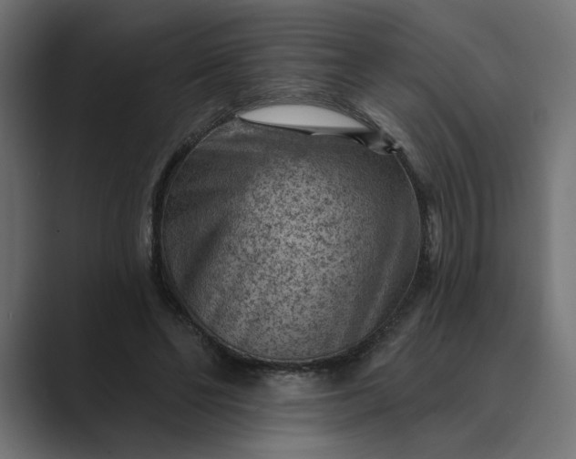 X0000089380494200706291319
