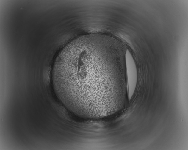 X0000089380495200706291319