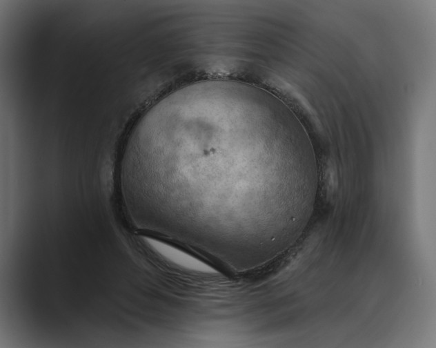X0000089380496200706291319