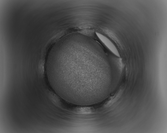 X0000089380501200706291319