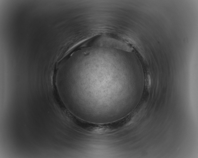 X0000089380504200706291319