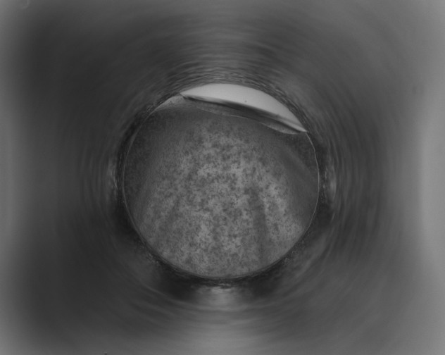 X0000089380506200706291319