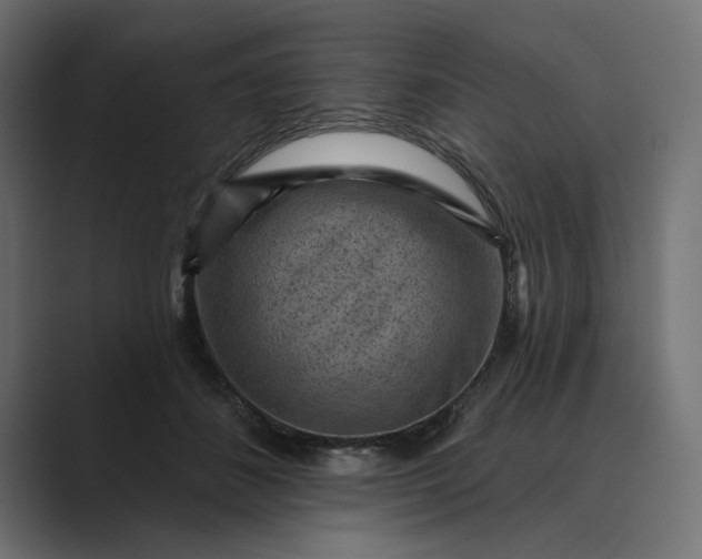X0000089380508200706291319