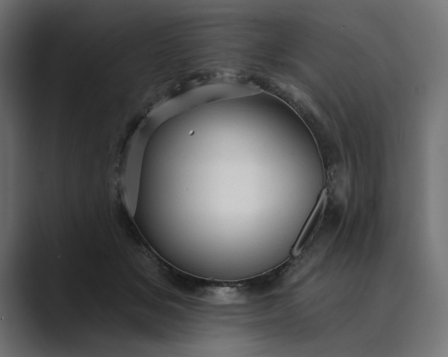 X0000089380509200706291319