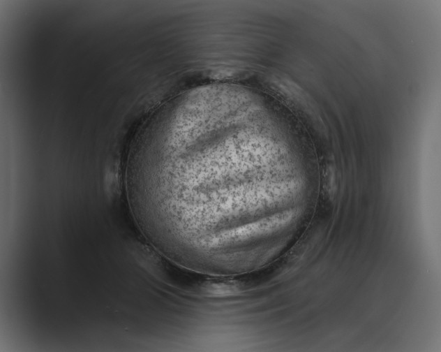 X0000089380510200706291319