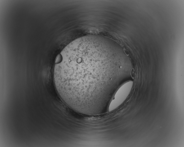 X0000089380511200706291319
