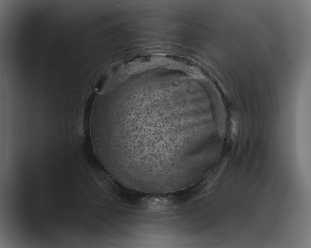 X0000089380512200706291319