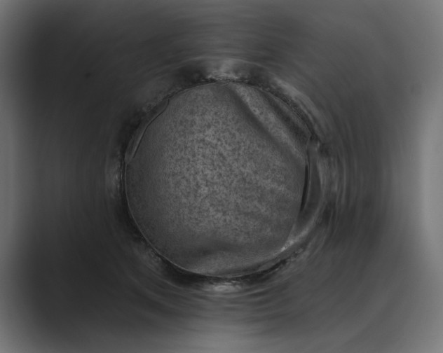 X0000089380513200706291319