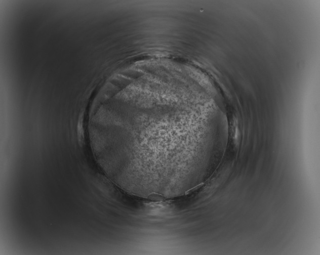 X0000089380516200706291319