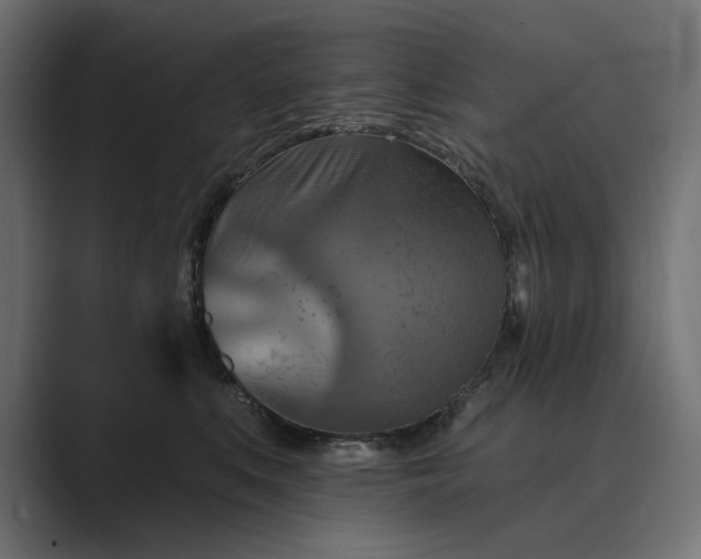 X0000089380519200706291319
