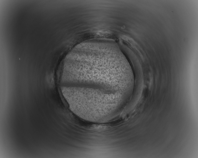 X0000089380520200706291319