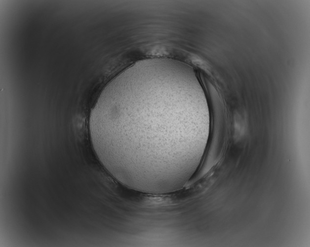 X0000089380521200706291319