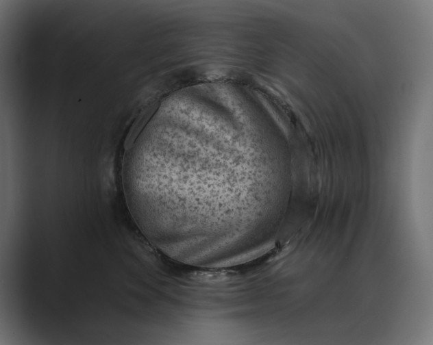 X0000089380524200706291319