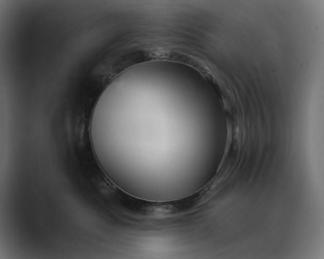 X0000089380525200706291319