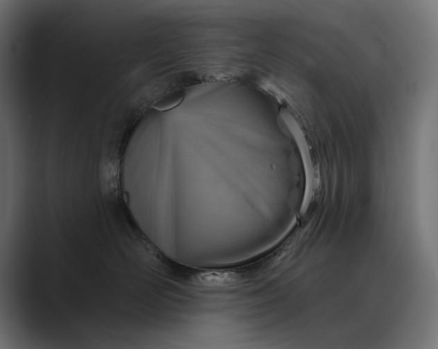 X0000089380526200706291319