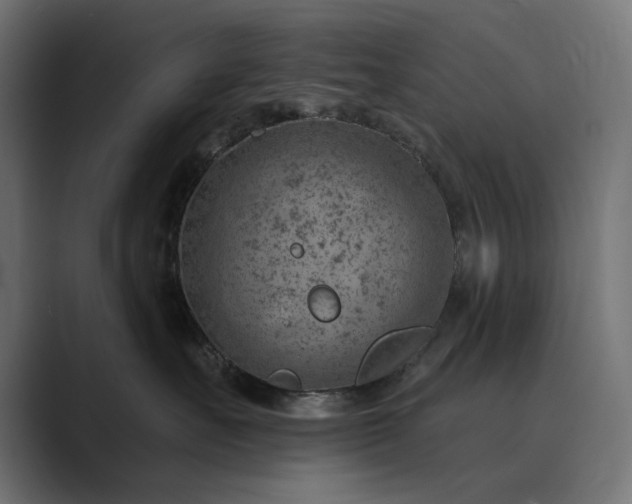 X0000089380527200706291319