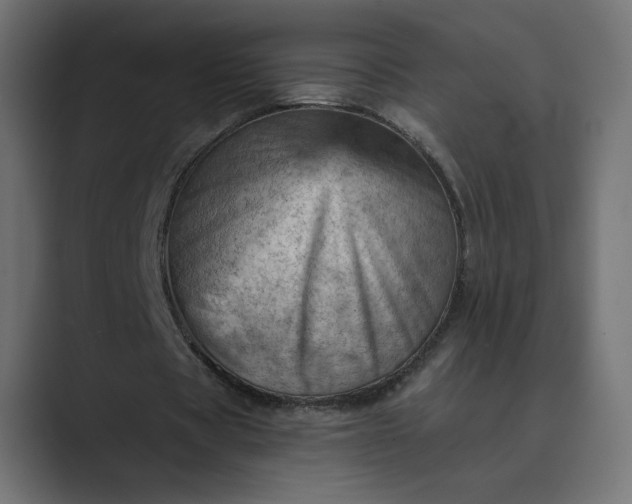 X0000089380529200706291318