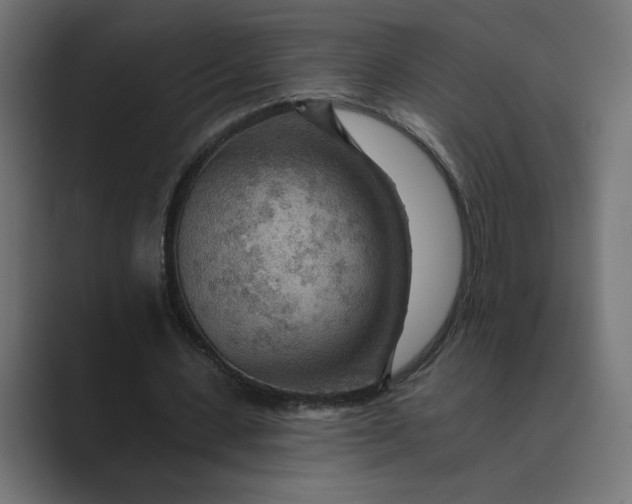 X0000089380531200706291318
