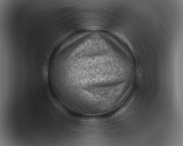 X0000089380533200706291318