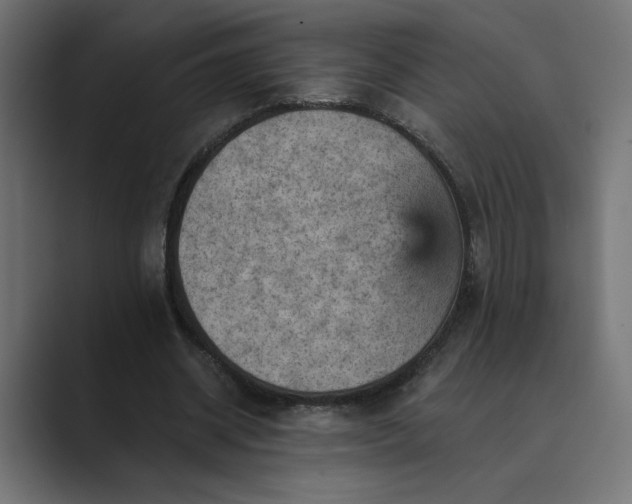 X0000089380534200706291318