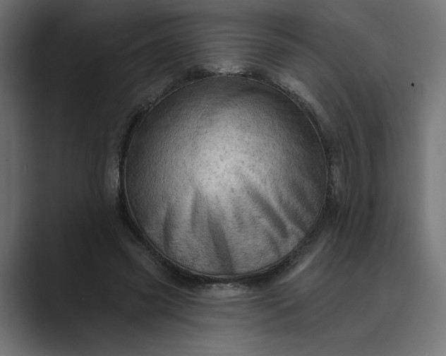 X0000089380541200706291318