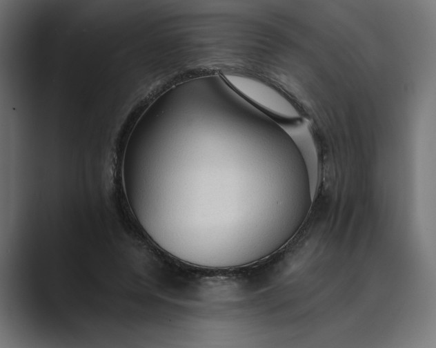 X0000089380544200706291318
