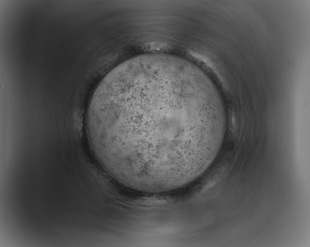 X0000089380545200706291318