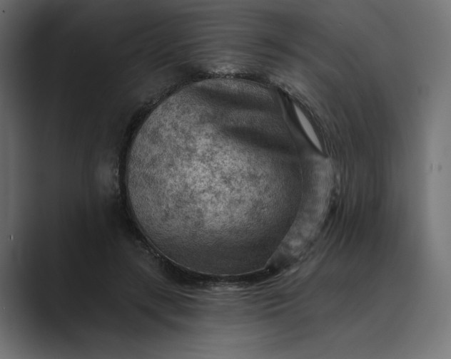 X0000089380547200706291318