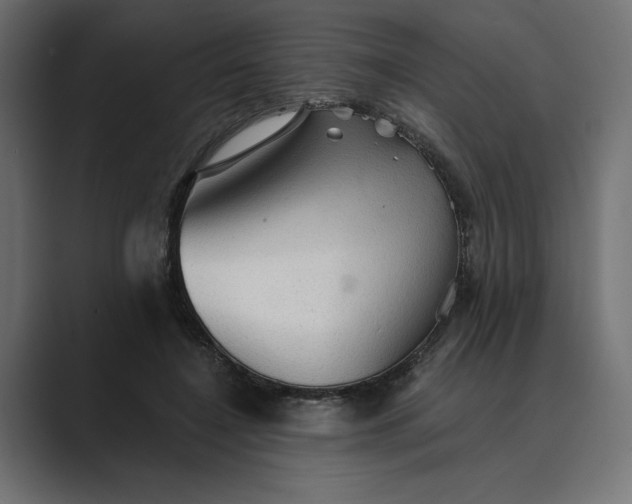 X0000089380548200706291318