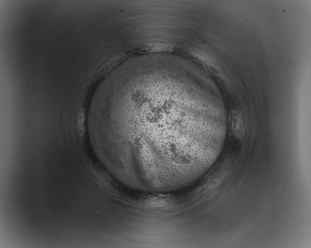 X0000089380550200706291318