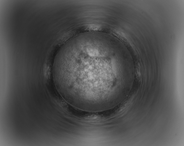 X0000089380551200706291318