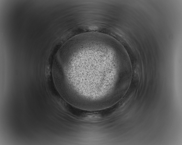 X0000089380555200706291319