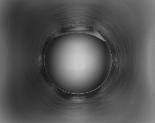 X0000089380556200706291319