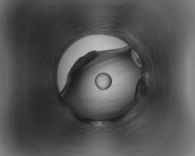 X0000089380558200706291319