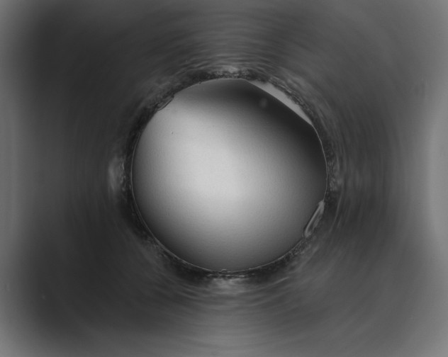 X0000089380560200706291319