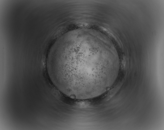 X0000089380561200706291319