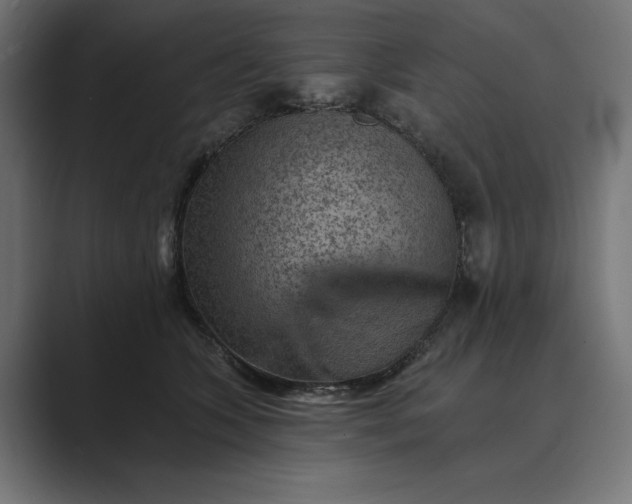 X0000089380563200706291319