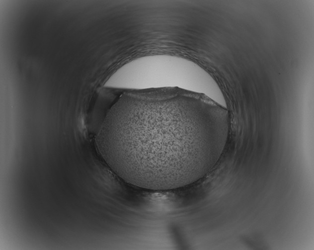 X0000089380566200706291319