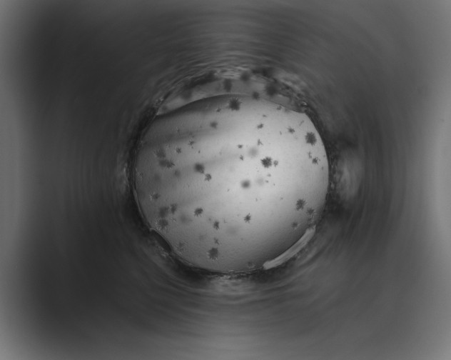 X0000089380568200706291319