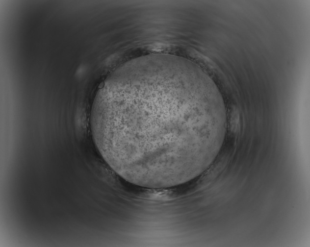X0000089380569200706291319