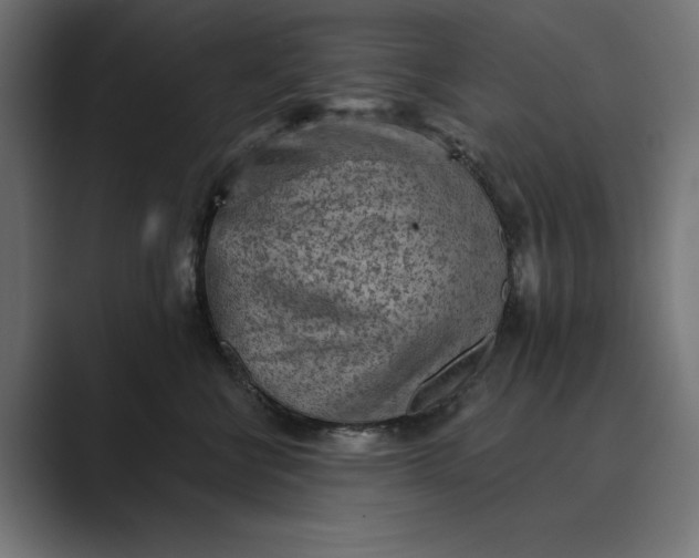 X0000089380570200706291319