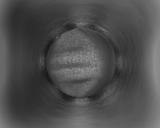 X0000089380571200706291319