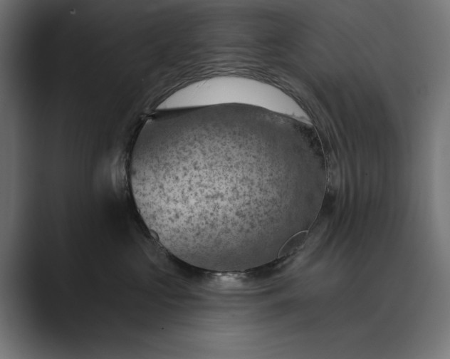 X0000089380573200706291319