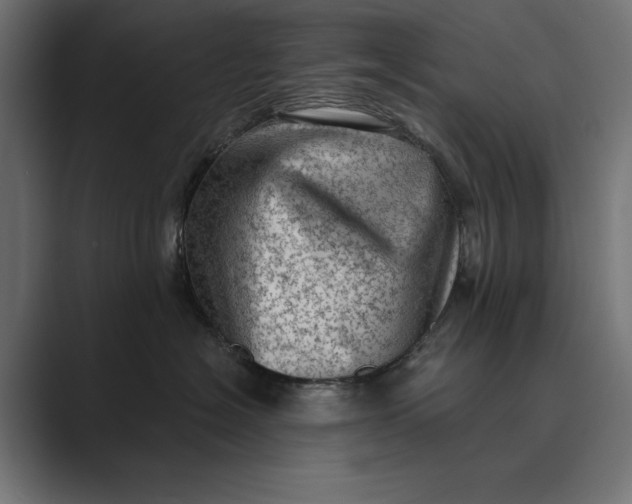 X0000089380574200706291319