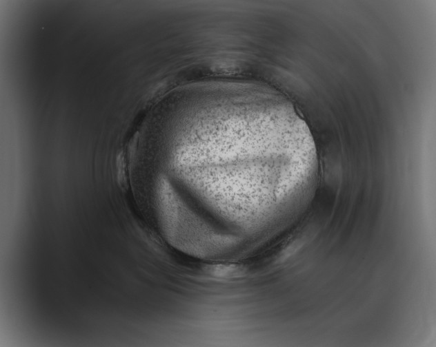 X0000089380575200706291319