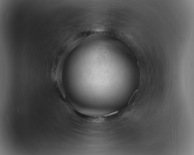 X0000089380576200706291319