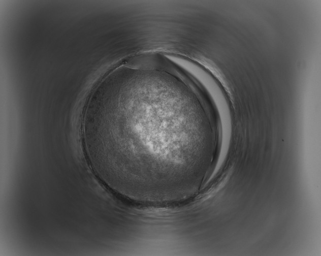 X0000089380577200706291318