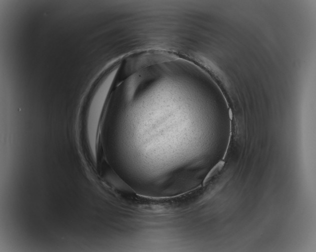 X0000089380580200706291318