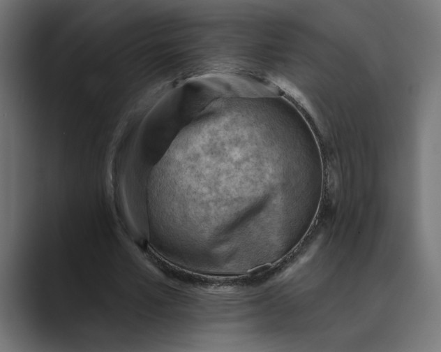 X0000089380581200706291318