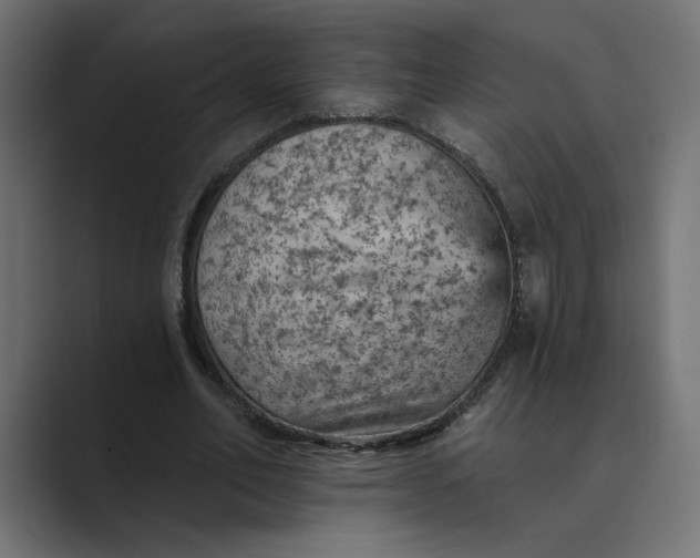 X0000089380582200706291318